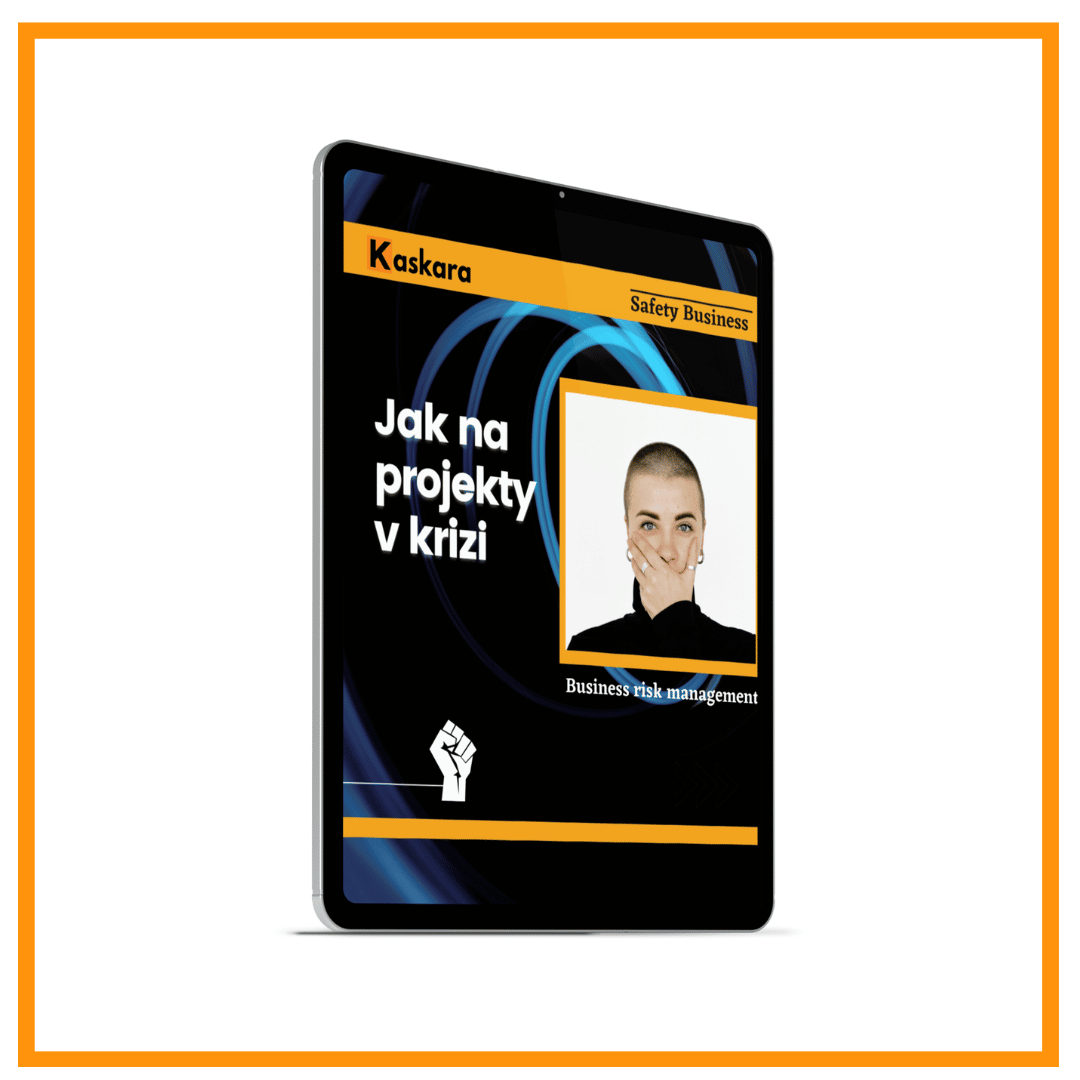 E-BOOK: JAK NA PROJEKTY V KRIZI